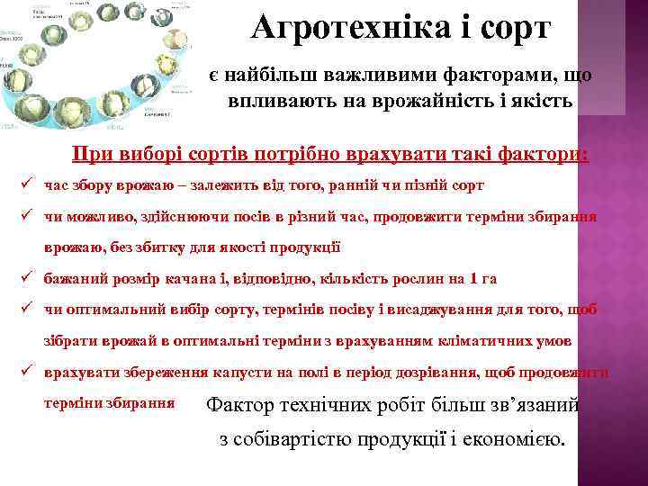 Агротехніка і сорт є найбільш важливими факторами, що впливають на врожайність і якість При