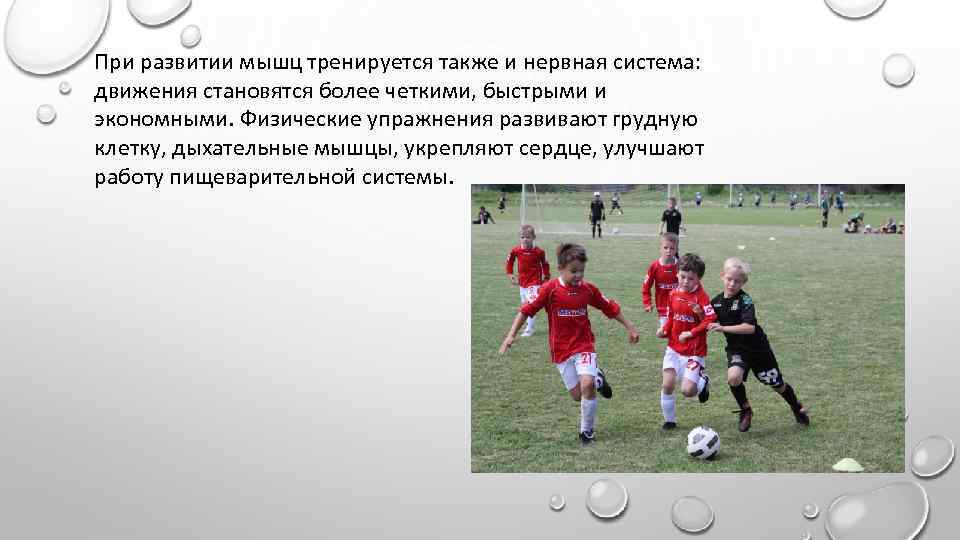 При развитии мышц тренируется также и нервная система: движения становятся более четкими, быстрыми и