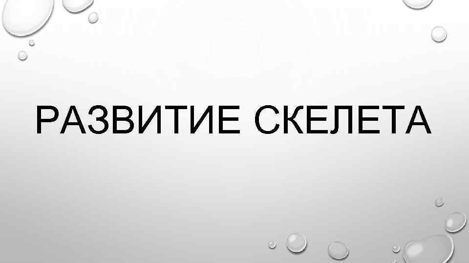 РАЗВИТИЕ СКЕЛЕТА 