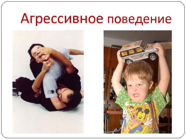 Агрессивное поведение 