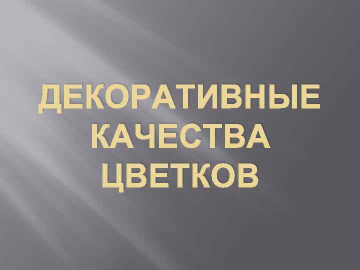 ДЕКОРАТИВНЫЕ КАЧЕСТВА ЦВЕТКОВ 