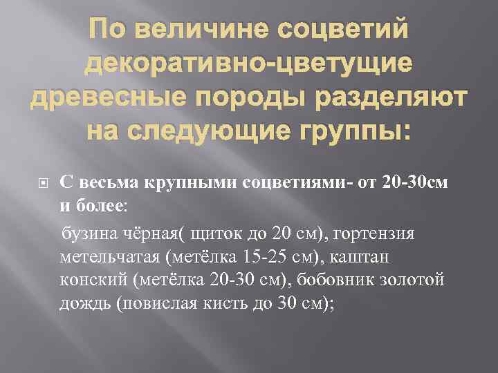 По величине соцветий декоративно-цветущие древесные породы разделяют на следующие группы: С весьма крупными соцветиями-