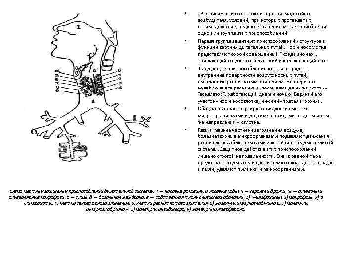  • • • . В зависимости от состояния организма, свойств возбудителя, условий, при
