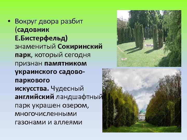  • Вокруг двора разбит (садовник Е. Бистерфельд) знаменитый Сокиринский парк, который сегодня признан