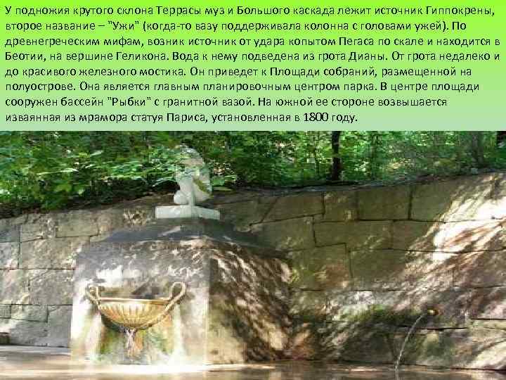 У подножия крутого склона Террасы муз и Большого каскада лежит источник Гиппокрены, второе название