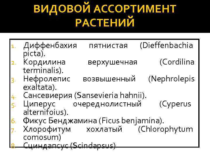 ВИДОВОЙ АССОРТИМЕНТ РАСТЕНИЙ 1. 2. 3. 4. 5. 6. 7. 8. Диффенбахия пятнистая (Dieffenbachia