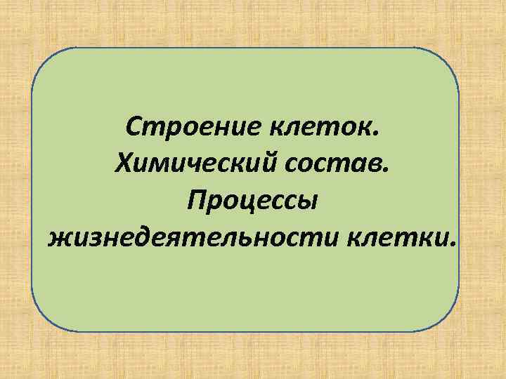 Строение клеток. Химический состав. Процессы жизнедеятельности клетки. 