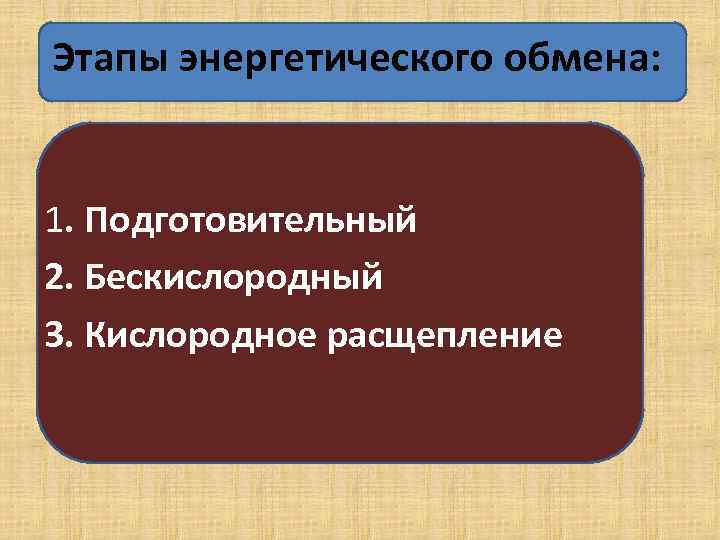 Этапы энергетического обмена: 1. Подготовительный 2. Бескислородный 3. Кислородное расщепление 