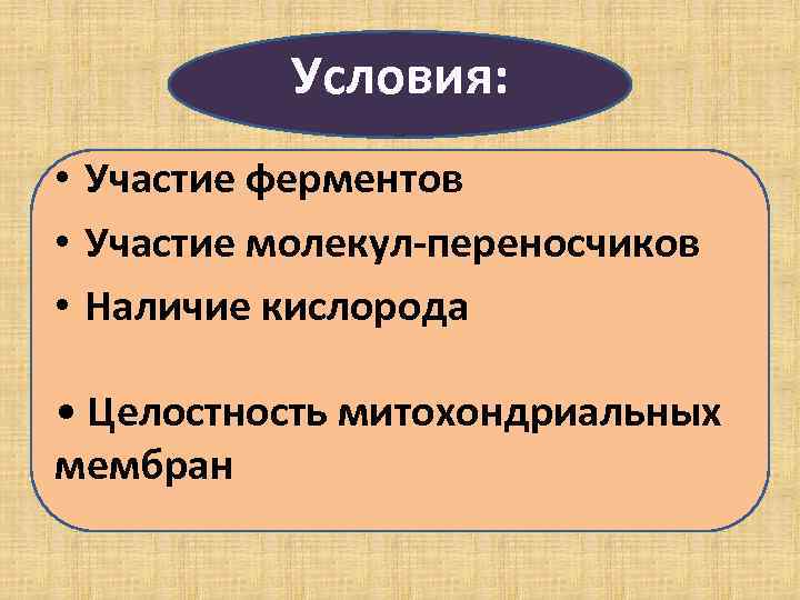 Условия: • Участие ферментов • Участие молекул-переносчиков • Наличие кислорода • Целостность митохондриальных мембран
