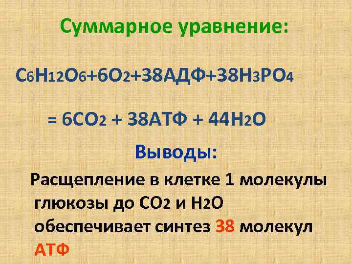 Суммарное уравнение: С 6 Н 12 О 6+6 О 2+38 АДФ+38 Н 3 РО