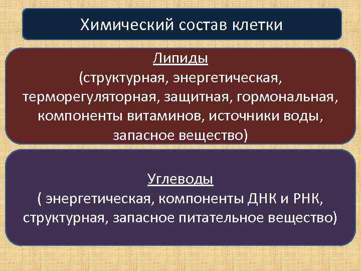 Химический состав клетки Липиды (структурная, энергетическая, терморегуляторная, защитная, гормональная, компоненты витаминов, источники воды, запасное
