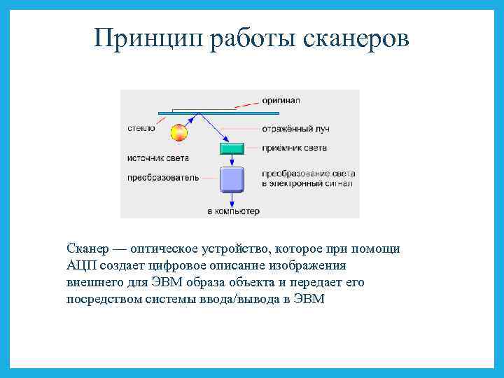 Принцип работы сканеров Сканер — оптическое устройство, которое при помощи АЦП создает цифровое описание