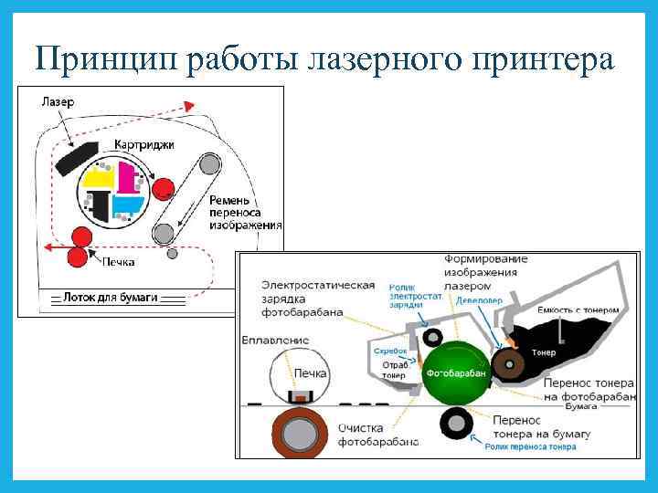 Принцип работы лазерного принтера 