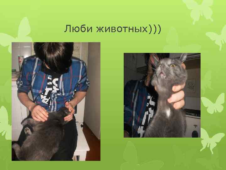 Люби животных))) 