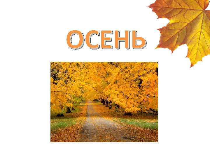 ОСЕНЬ 