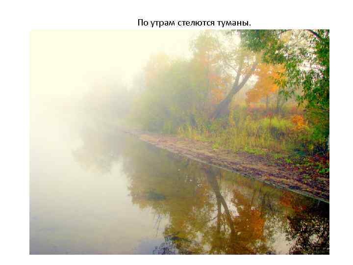По утрам стелются туманы. 