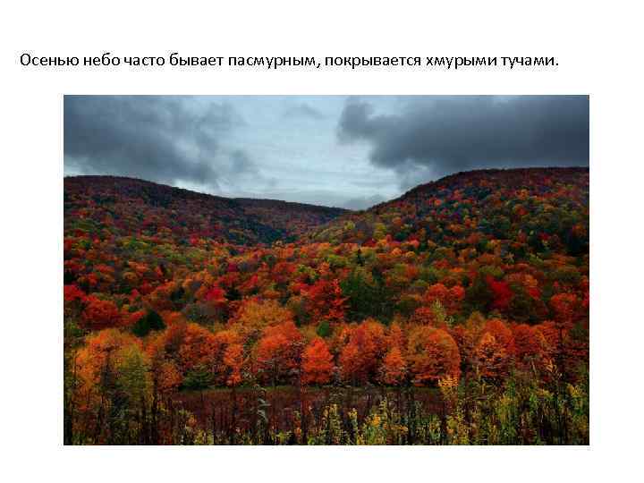 Осенью небо часто бывает пасмурным, покрывается хмурыми тучами. 