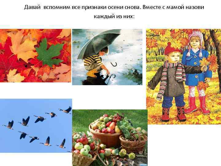 Давай вспомним все признаки осени снова. Вместе с мамой назови каждый из них: 