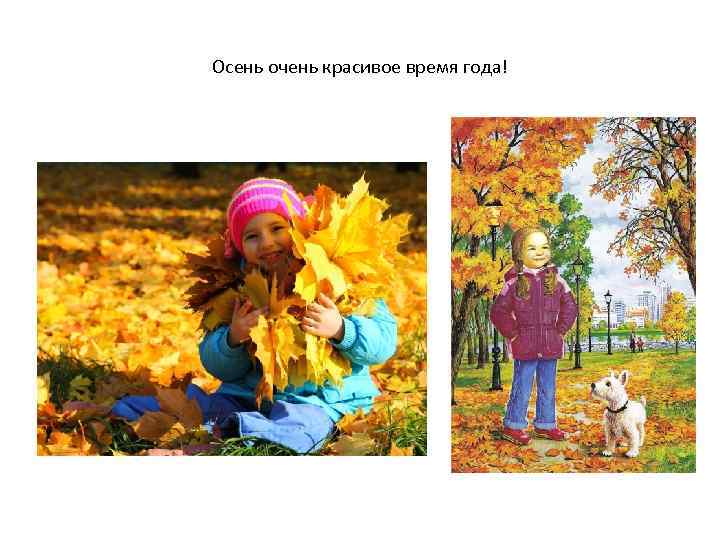 Осень очень красивое время года! 