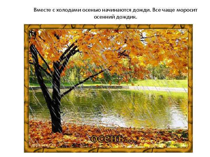 Вместе с холодами осенью начинаются дожди. Все чаще моросит осенний дождик. 