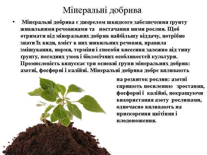 Мінеральні добрива • Мінеральні добрива є джерелом швидкого забезпечення ґрунту живильними речовинами та постачання