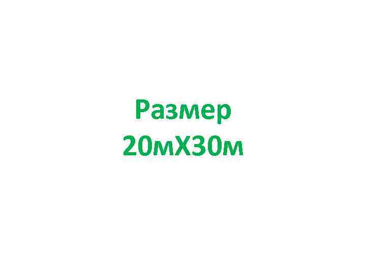 Размер 20 м. Х 30 м 