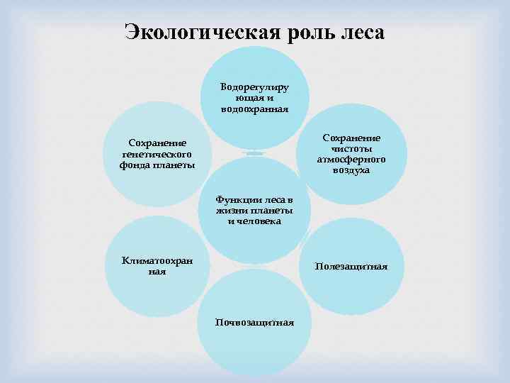 Используя материал краткой теории заполните схему экологические функции леса