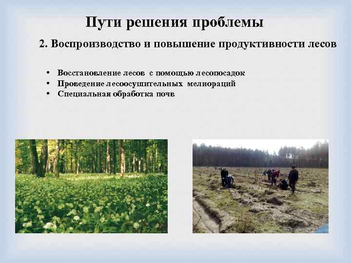 Виды биологической продуктивности