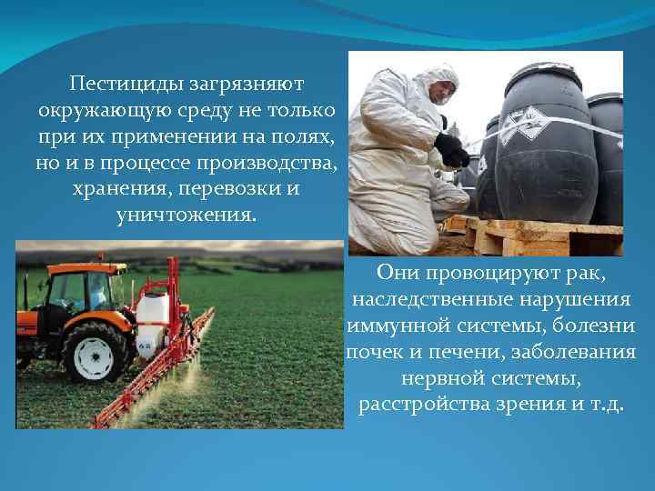 Исследование пестицидов. Пестициды в сельском хозяйстве. Загрязнение почвы пестицидами. Загрязнение почв пестицидами и агрохимикатами. Влияние пестицидов на окружающую среду.
