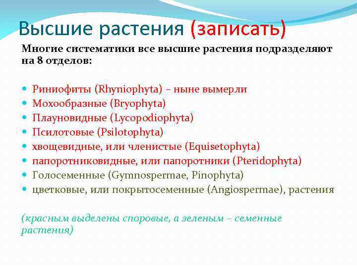 Высшие растения (записать) Многие систематики все высшие растения подразделяют на 8 отделов: Риниофиты (Rhyniophyta)