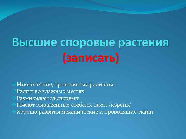 Высшие споровые растения (записать) v. Многолетние, травянистые растения v. Растут во влажных местах v.