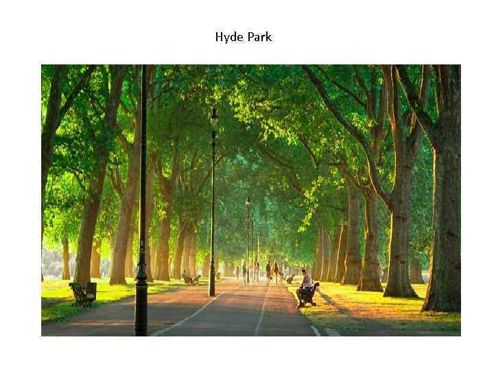  Hyde Park 