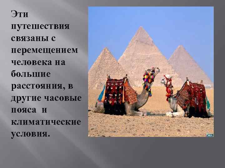 Эти путешествия связаны с перемещением человека на большие расстояния, в другие часовые пояса и