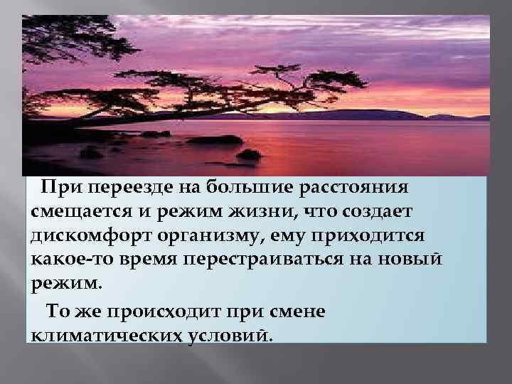 При переезде на большие расстояния смещается и режим жизни, что создает дискомфорт организму, ему