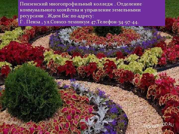 Пензенский многопрофильный колледж. Отделение коммунального хозяйства и управление земельными ресурсами. Ждем Вас по адресу: