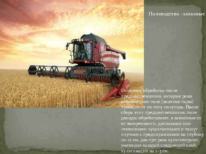 Полеводство –злаковые. Основная обработка после предшественников, которые рано освобождают поле (занятые пары) проводится по