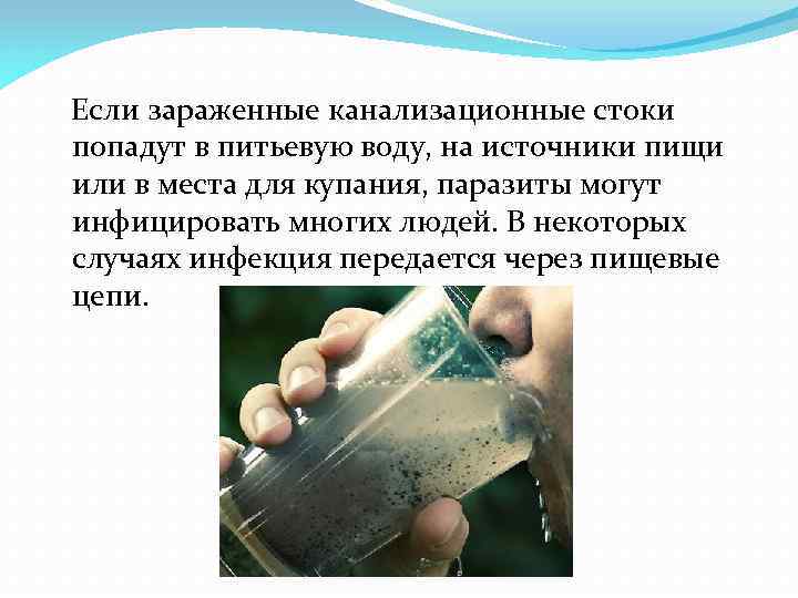  Если зараженные канализационные стоки попадут в питьевую воду, на источники пищи или в