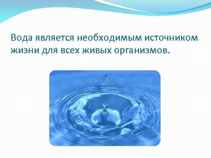 Вода является необходимым источником жизни для всех живых организмов. 