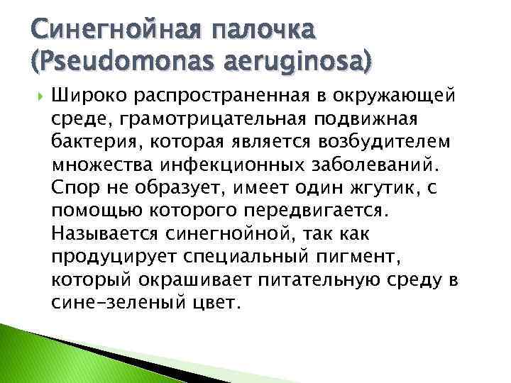 Синегнойная палочка (Pseudomonas aeruginosa) Широко распространенная в окружающей среде, грамотрицательная подвижная бактерия, которая является