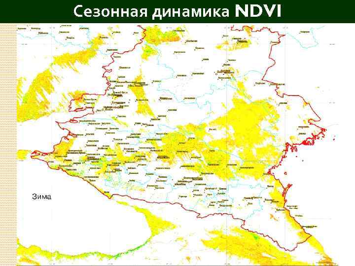 Сезонная динамика NDVI 