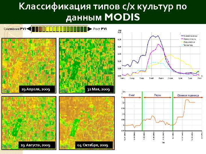 Классификация типов с/х культур по данным MODIS Снижение PVI 19 Апреля, 2009 Рост PVI