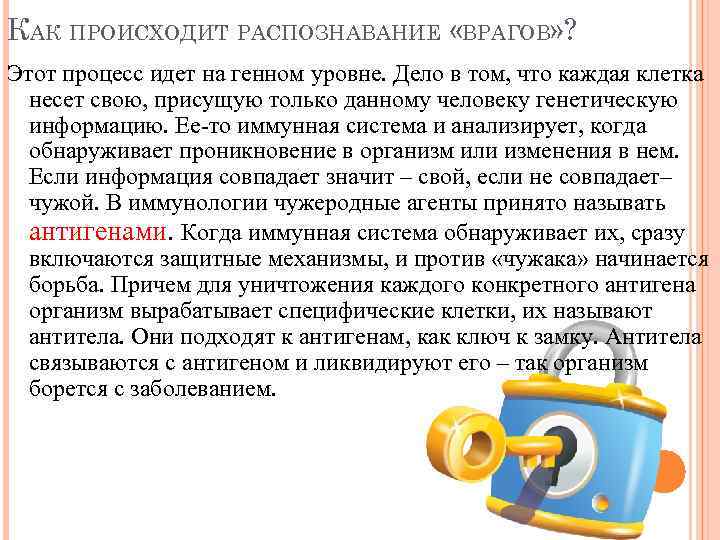 КАК ПРОИСХОДИТ РАСПОЗНАВАНИЕ «ВРАГОВ» ? Этот процесс идет на генном уровне. Дело в том,