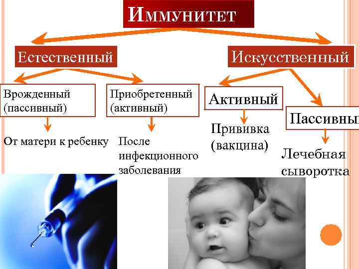 ИММУНИТЕТ Естественный Врожденный (пассивный) Приобретенный (активный) От матери к ребенку После инфекционного заболевания Искусственный