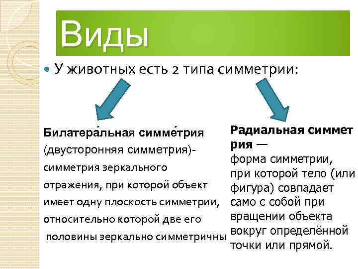 2 типа симметрии