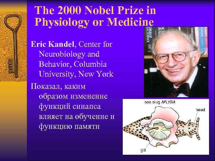 The 2000 Nobel Prize in Physiology or Medicine Eric Kandel, Center for Neurobiology and