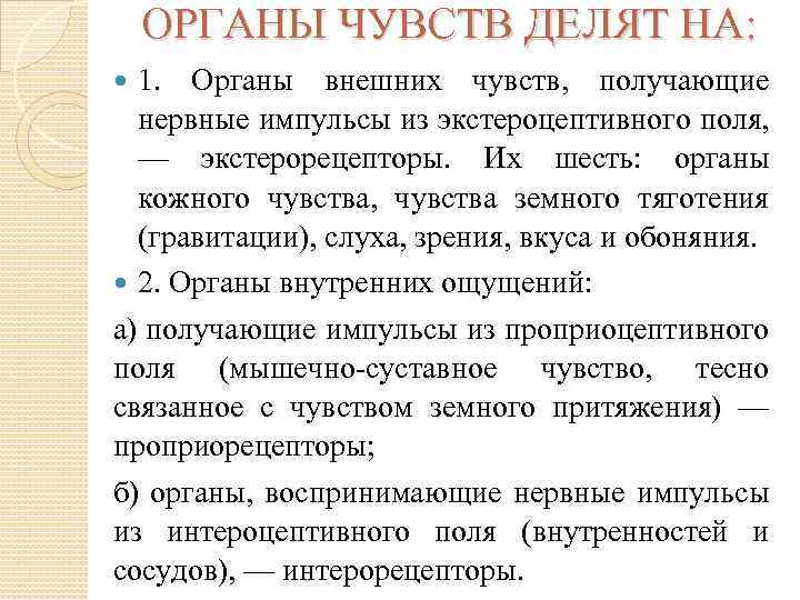 ОРГАНЫ ЧУВСТВ ДЕЛЯТ НА: 1. Органы внешних чувств, получающие нервные импульсы из экстероцептивного поля,