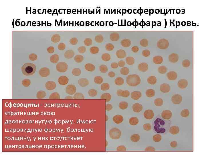 Расстройства психосоматического спектра патогенез диагностика лечение руководство для врачей