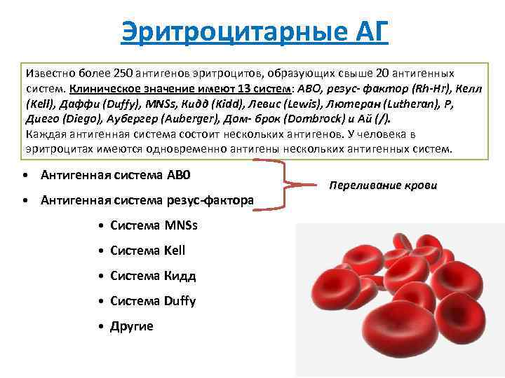 Положительный антиген в крови