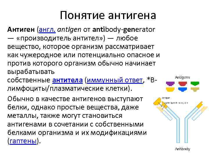 Антитела определение. Понятие и виды антигенов и антител.. Строение антигена и антитела. Агретоп антигена. Антигены и антитела, структура и функции..