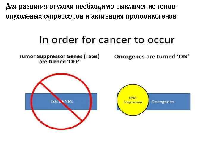 Для развития опухоли необходимо выключение геновопухолевых супрессоров и активация протоонкогенов 